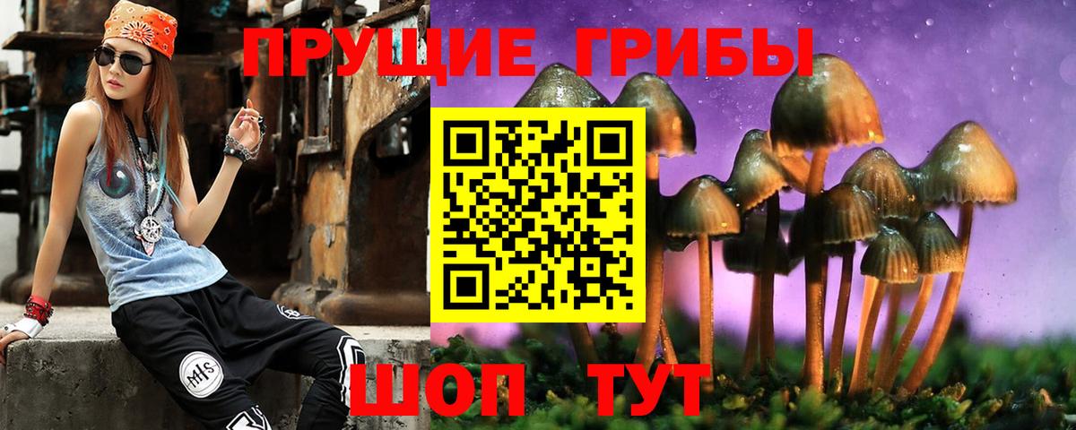 Курганинск  Псилоцибиновые грибы Magic Shrooms  Вход с VPN 